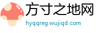 方寸之地网